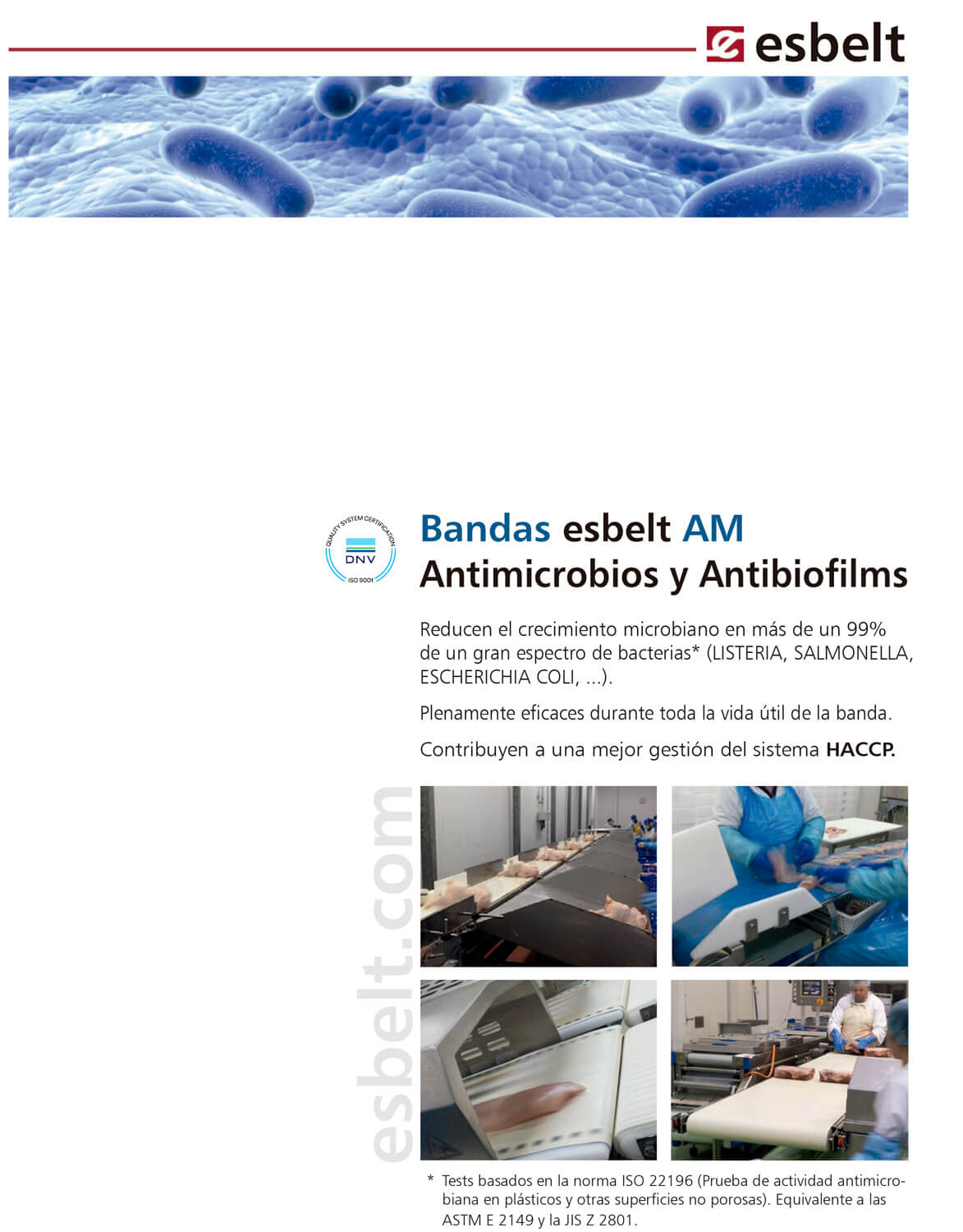 bandas AM antimicrobios y antibiofilms