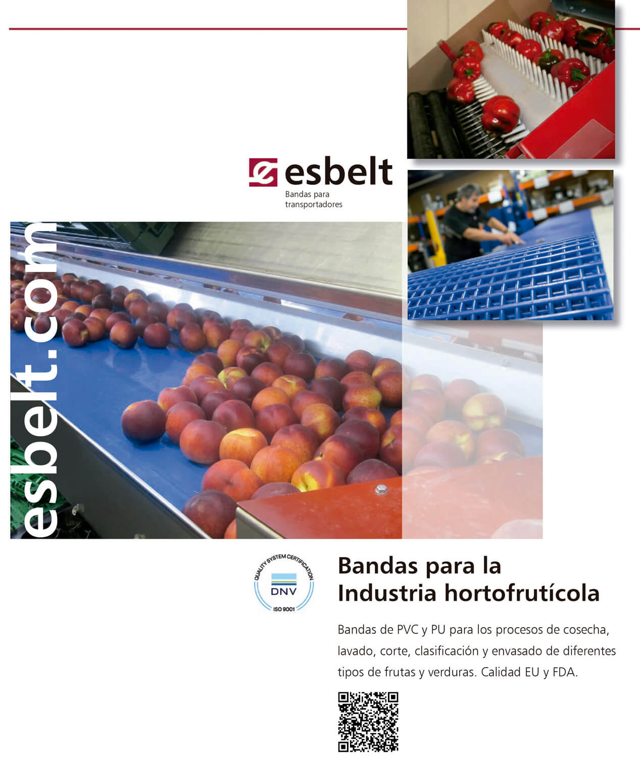bandas industria hortofruticola